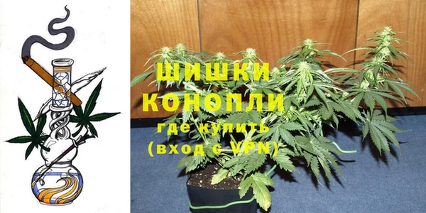 герыч Ельня