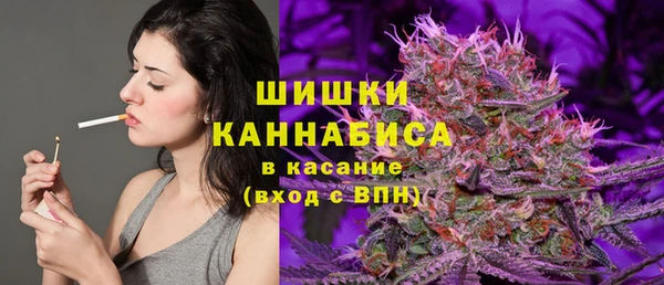 PSILOCYBIN Елизово