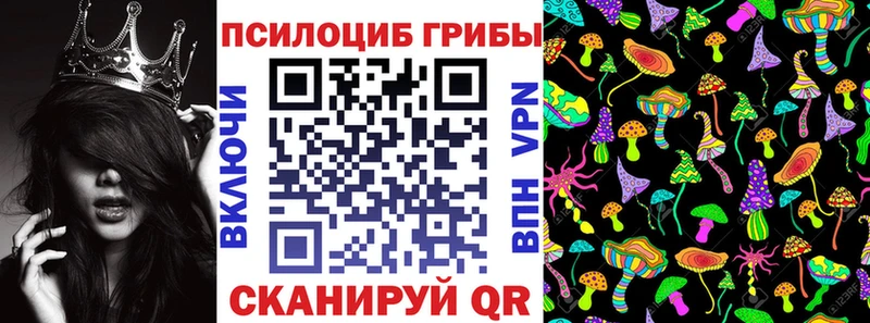Псилоцибиновые грибы прущие грибы  наркошоп  Нахабино 