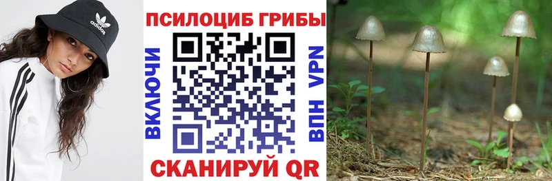 Псилоцибиновые грибы мухоморы Нахабино